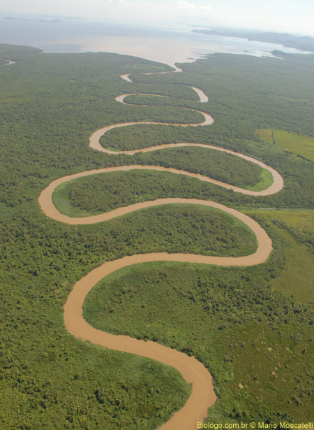 rio Guapi