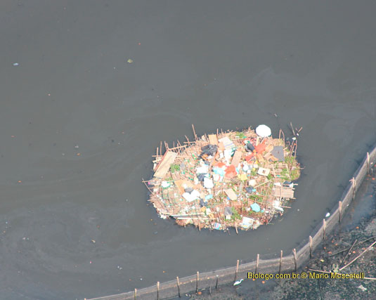 ilha de lixo