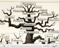 tree of life