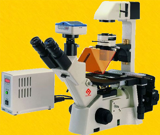 Microscópio Biológico Trinocular Invertido